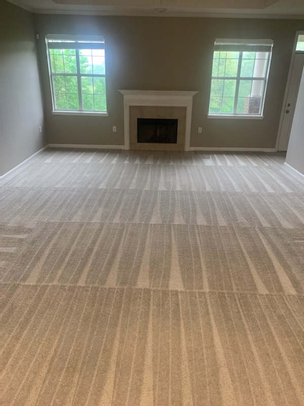 Fresh Carpet Lines