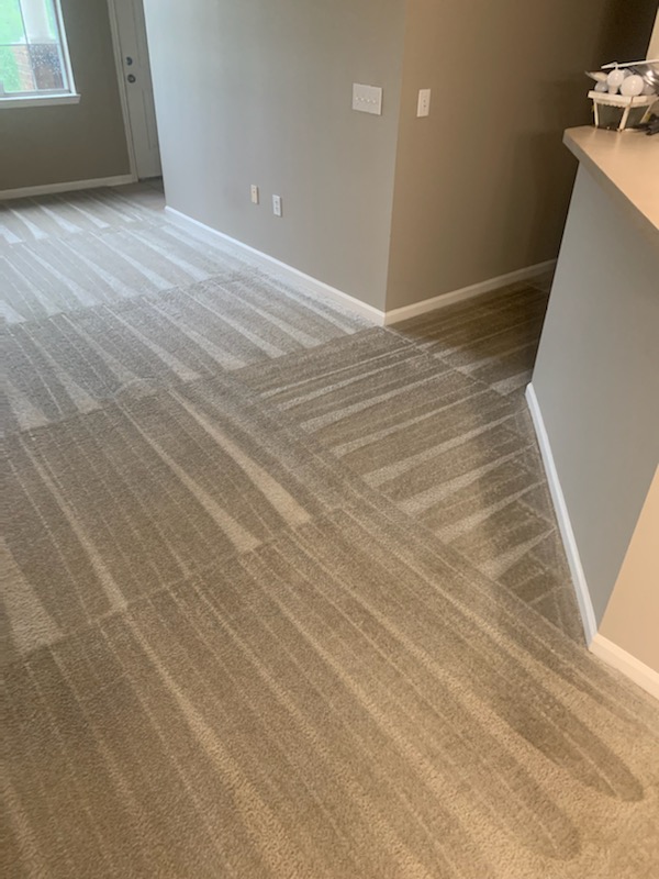 Fresh Carpet Lines2
