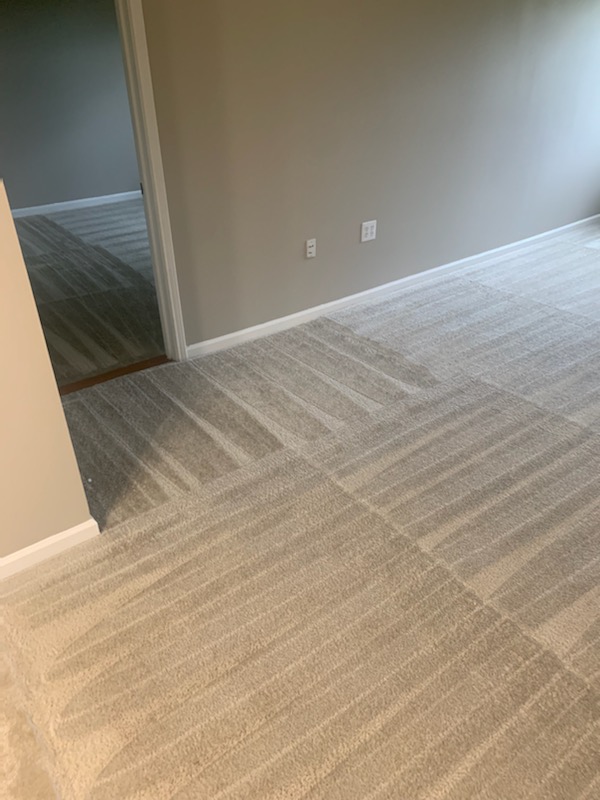 Fresh Carpet Lines3